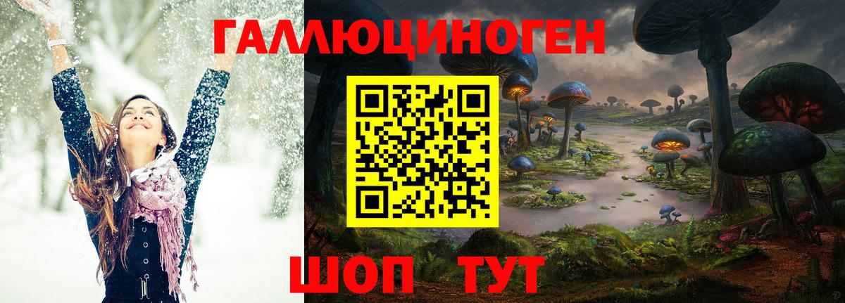 Псилоцибиновые грибы мухоморы  купить   Россия  Вход с VPN 